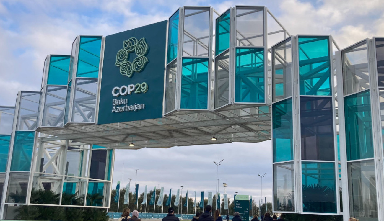 COP29