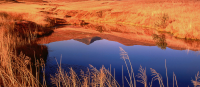 3.3 CoMSSA SEACAP Toolbox_Access to energy target setting and action planning