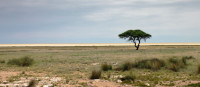 Reaching Scale in Access to Energy: Lessons learnt