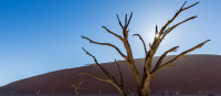 Finance Roadmaps for Climate Projects: OVERVIEW