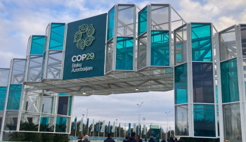 COP29