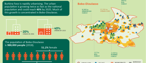 City Infographic | Bobo-Dioulasso – General Information