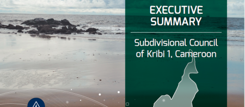 SEACAP Executive Summary | Subdivisional Council of Kribi 1, Cameroon